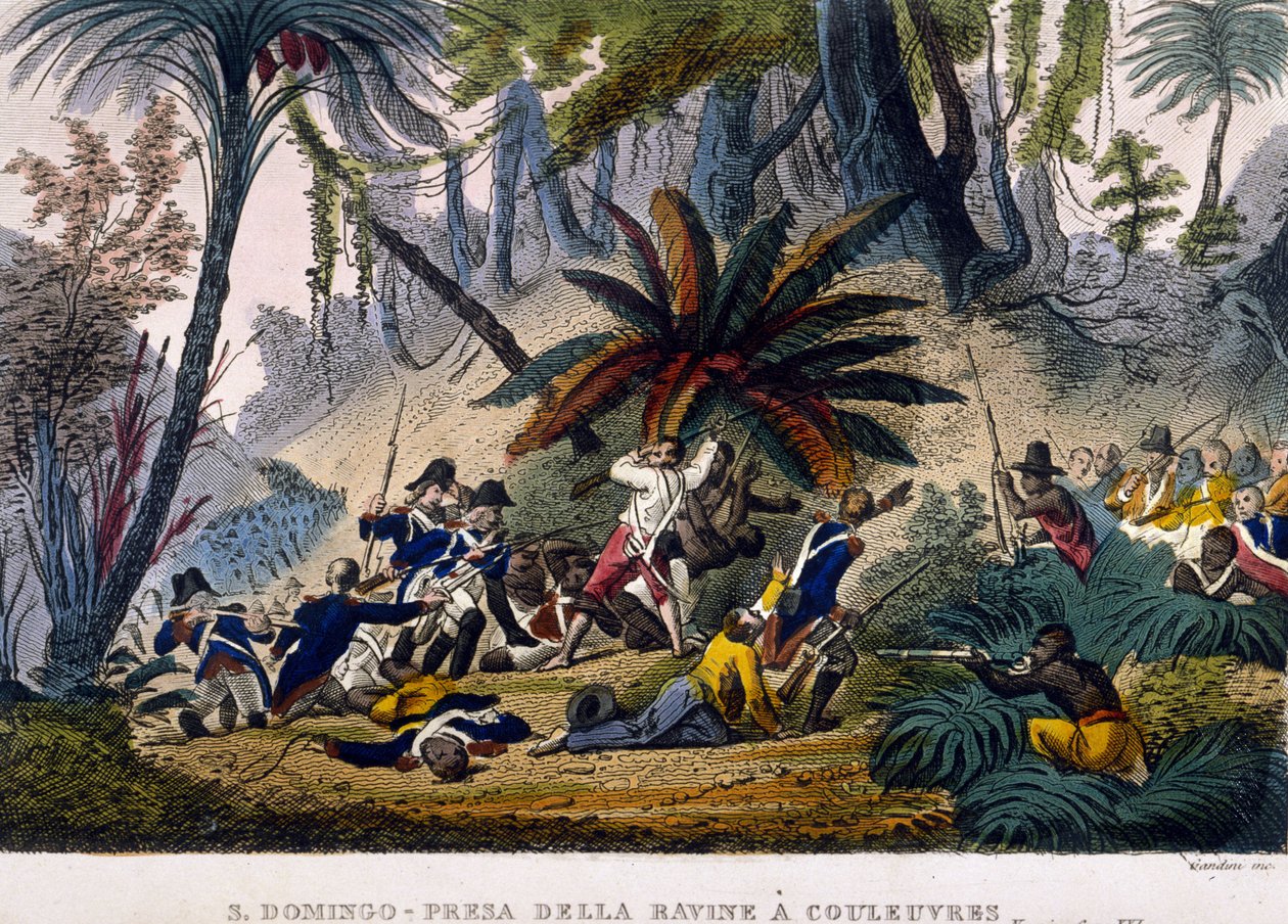 Taken de la Ravine at Reuvres في 23/02/1802. رحلة Leclerc الاستكشافية ، التي تطوق قوات فرانسوا دومينيك توسان ، المعروفة باسم "توسان لوفرتور" (توسان لوفرتور بواسطة فنان غير معروف