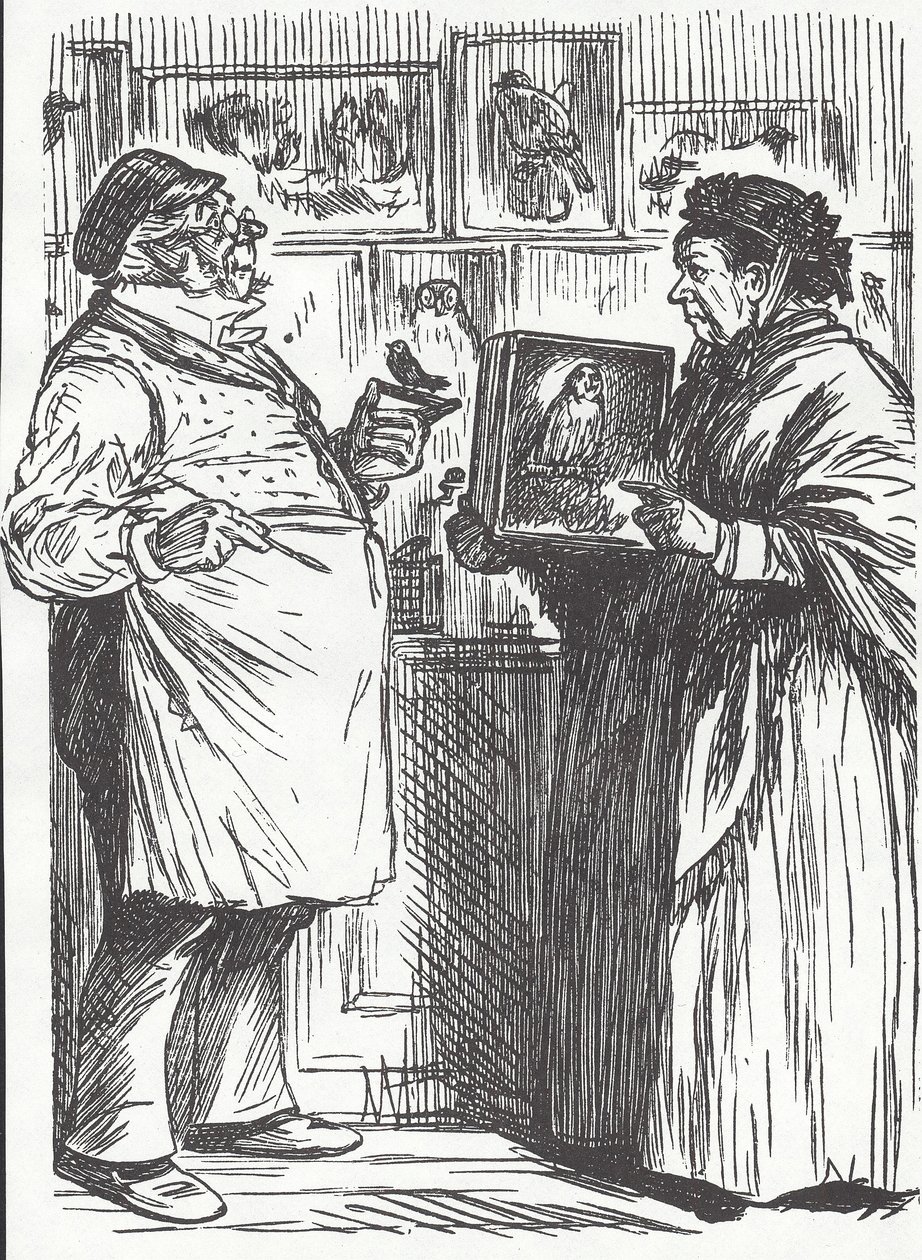Taxidermist, late 19th century (wood engraving) بواسطة فنان غير معروف