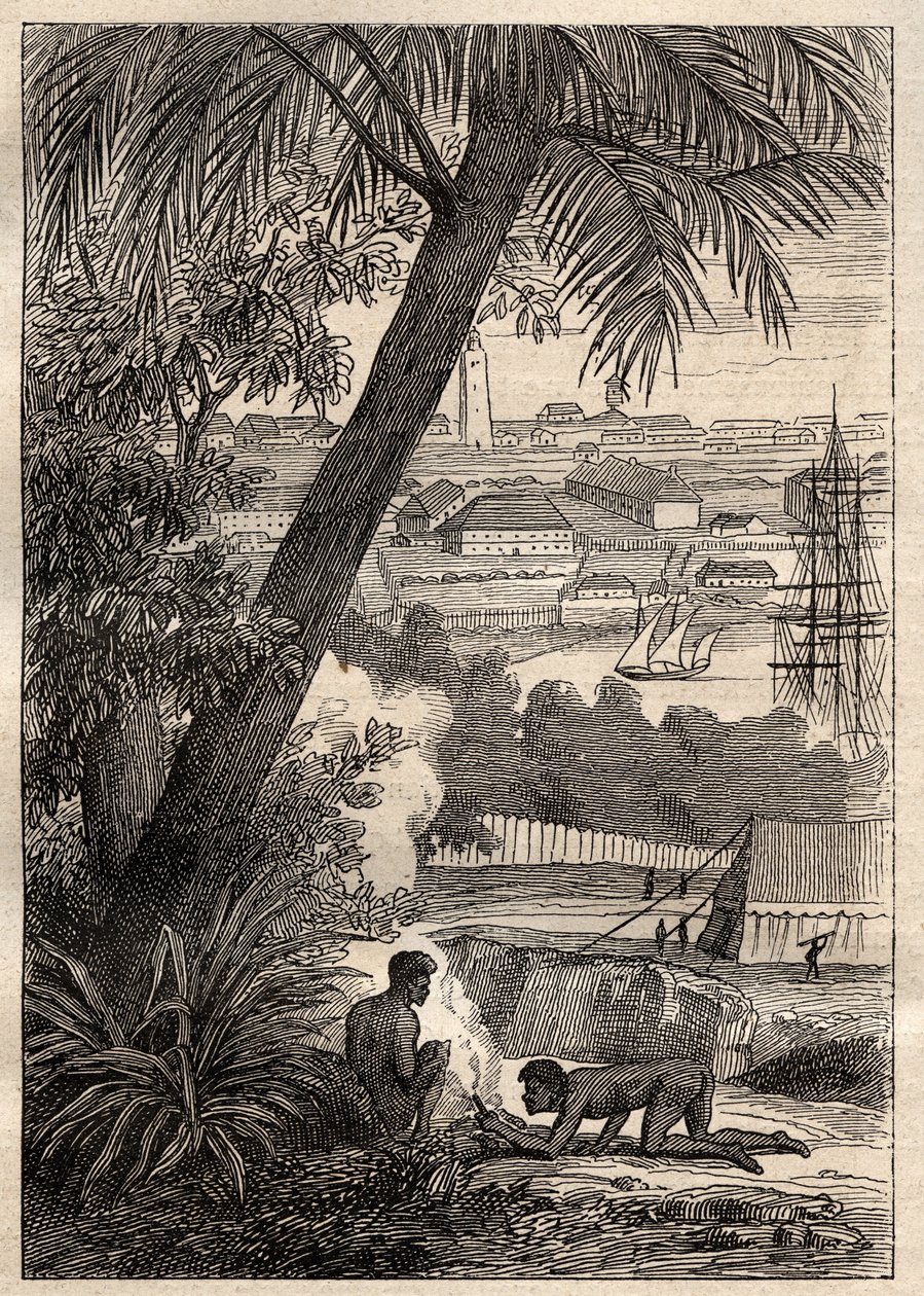 الرحلة الاستكشافية إلى الأراضي الجنوبية (1800-1803) بقلم نيكولاس بودان (1754-1803): منظر لسيدني (أستراليا) - رسم توضيحي من "البحارة العظماء في القرن الثامن عشر" بواسطة فنان غير معروف