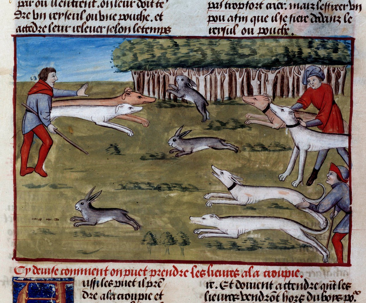 The Hare Hunt Miniature من "كتاب الصيد" بقلم غاستون الثالث فويبوس ، كونت فوا ، لورد بيرن (1331-1391) بواسطة فنان غير معروف