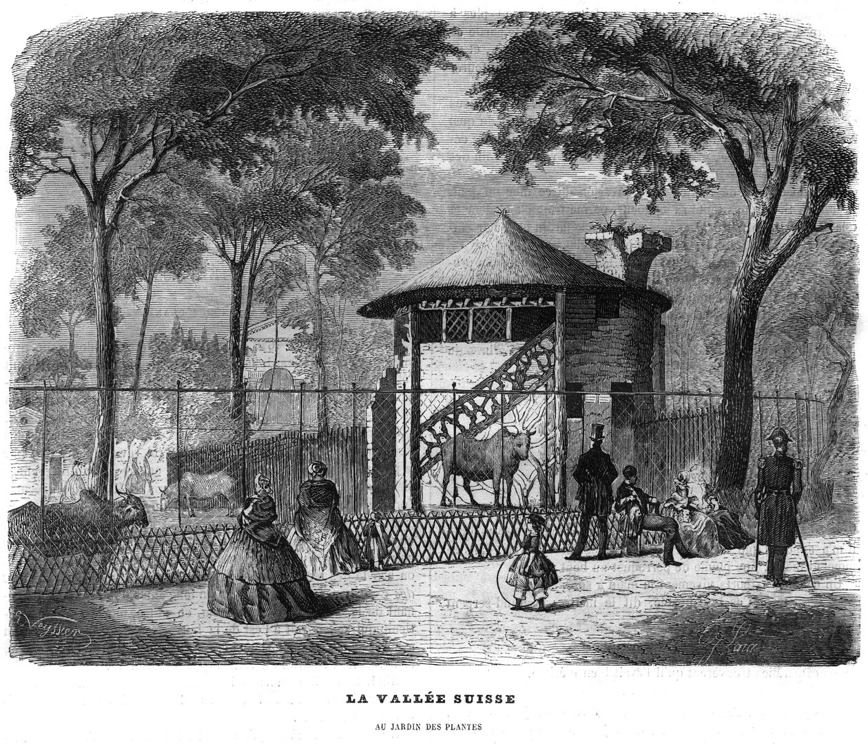 الوادي السويسري في حديقة النباتات بباريس عام 1858. بواسطة فنان غير معروف