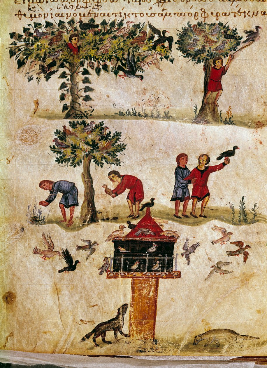 تربية وتدريب الصقور المصغرة من صيد "The Cynegetics" من أوبيان (Oppian أو Oppianus) في سوريا (القرن الثالث الميلادي) المخصص لكركلا. مدينة البندقية في القرن الحادي عشر. مكتبة مارسيانا بواسطة فنان غير معروف