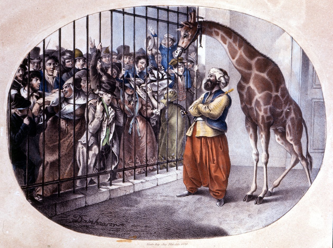 اندفع الحشد الفضولي لرؤية زرافة خلف البوابة. الطباعة الحجرية بواسطة Danhaaren. 1829 بواسطة فنان غير معروف