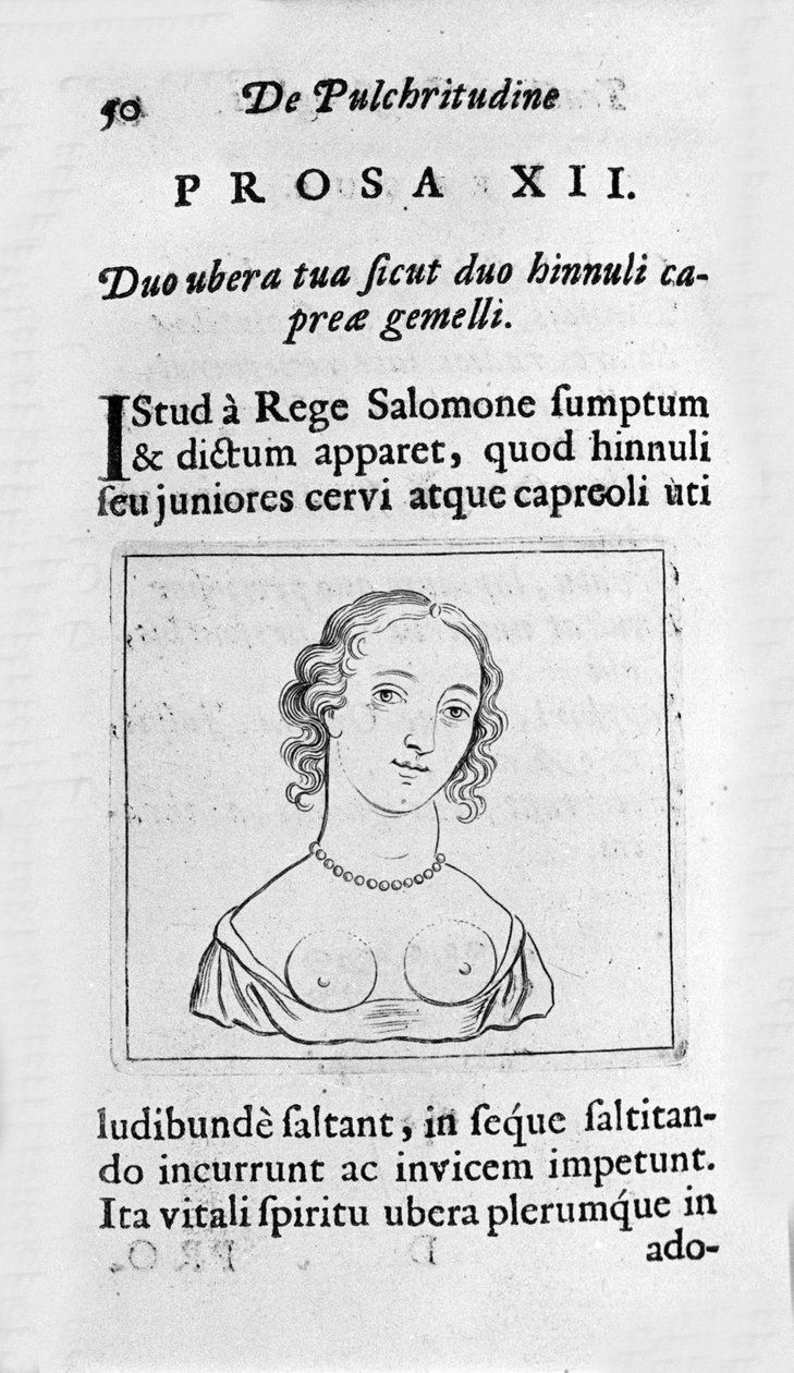 الصدر الأنثوي. صفحة مأخوذة من صفقات "" Tractatus physiologicus de pulchritudine "" مع Ernesto Venio (Ernestus Vaenius) للدفاع عن جمال الخلق ضد خصم مجهول. 1612 بواسطة فنان غير معروف