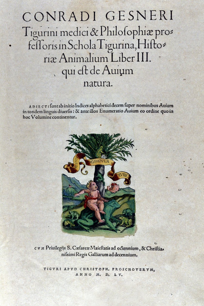 واجهة المجلد الثالث من تأليف هيستوريا أنيماليوم بقلم كونراد جيسنر (1516-1565) ، تيغوري بواسطة فنان غير معروف
