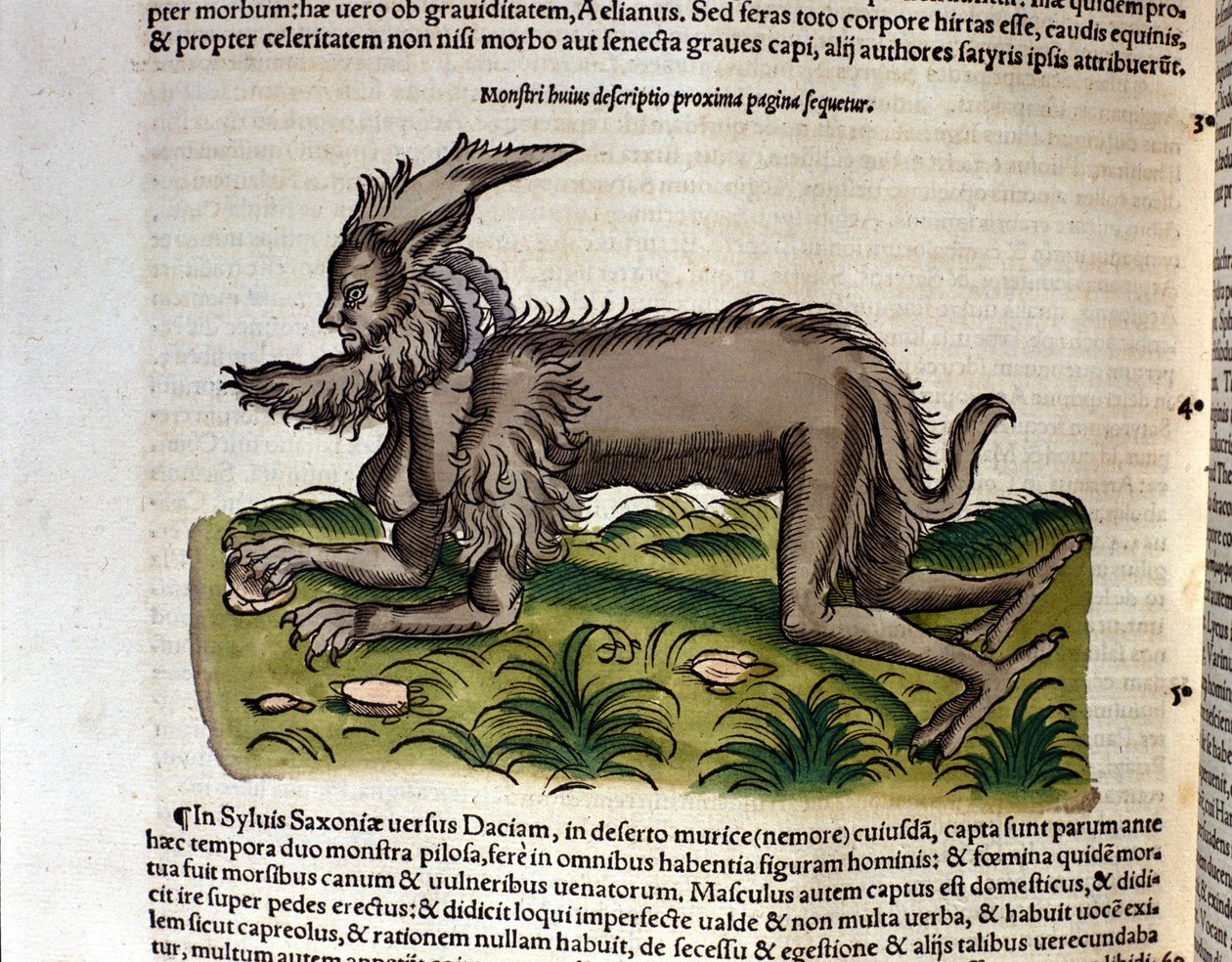 The Manticore من تاريخ الحيوانات بقلم كونراد جيسنر ، زيورخ 1560. الموقع Nazionale Braidense. ميلان بواسطة فنان غير معروف