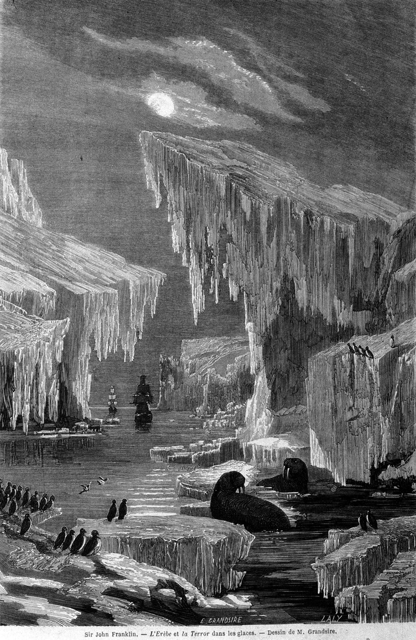 السفينتان "إريبوس" و "تيرور" أثناء الرحلة الاستكشافية بقيادة السير جون فرانكلين (1786-1847) ، إلى الجليد. نقش القرن التاسع عشر بواسطة فنان غير معروف
