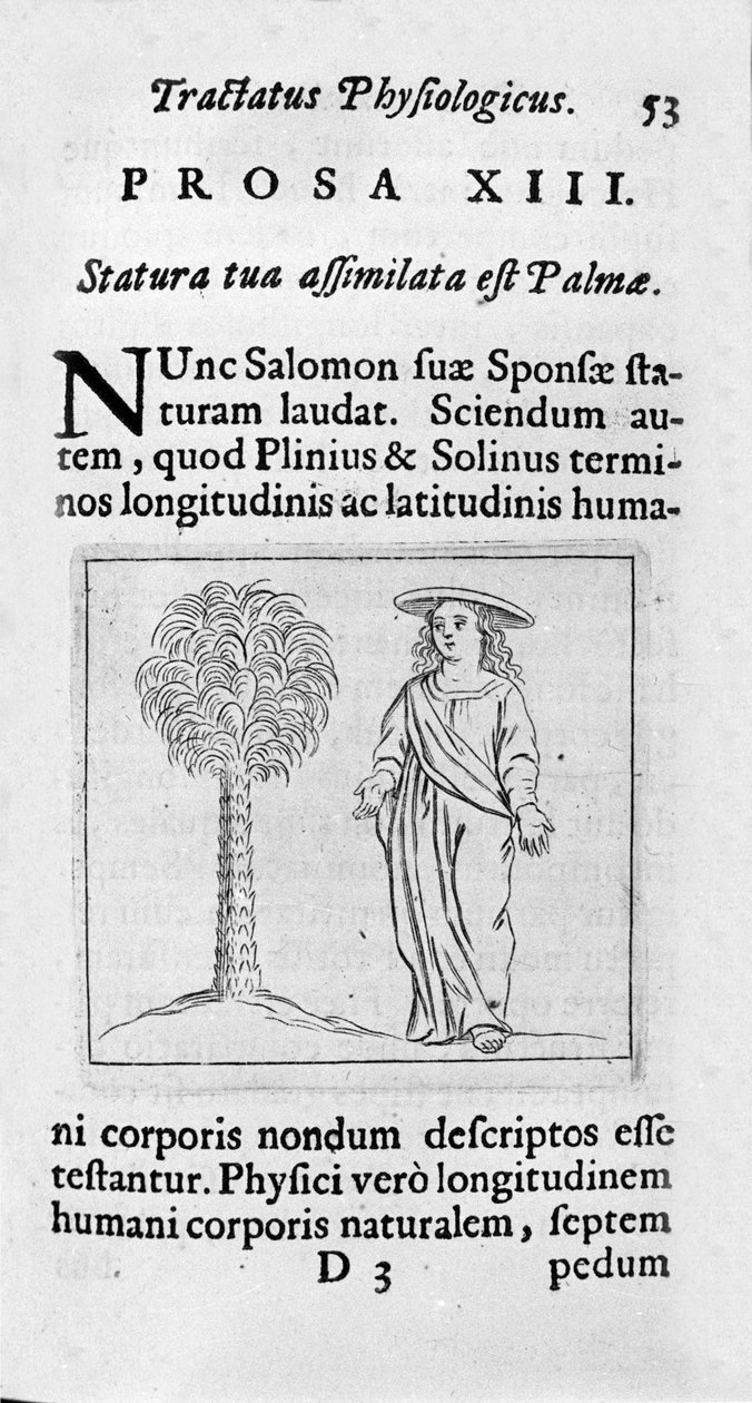 حجم المرأة. صفحة مأخوذة من صفقات "" Tractatus physiologicus de pulchritudine "" مع Ernesto Venio (Ernestus Vaenius) للدفاع عن جمال الخلق ضد خصم مجهول. 1612 بواسطة فنان غير معروف