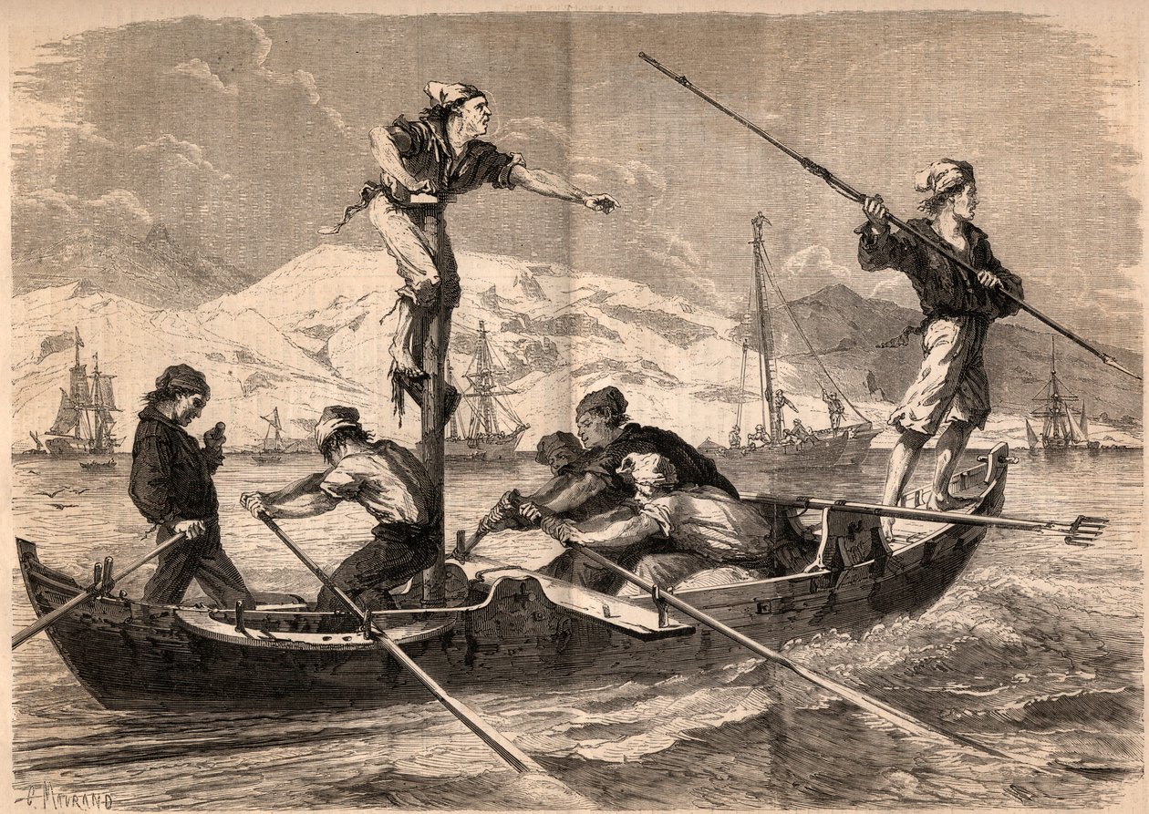 صيد أسماك أبو سيف (pesce spada، swordfish) على ساحل صقلية بإيطاليا عام 1862. نقش في "Le Monde illustrious" من عام 1862. مجموعة خاصة. بواسطة فنان غير معروف