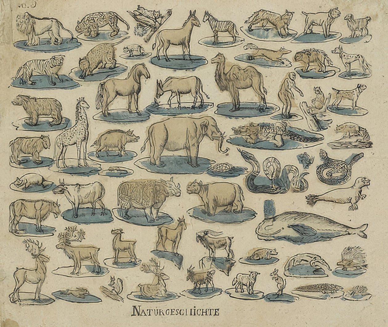 الحيوانات. 1750-1800 بواسطة غير معروف