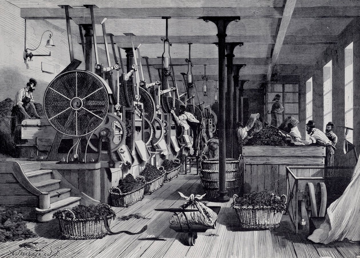معمل تبغ وغرفه غسيل وتبغ. نقش حوالي عام 1867. باريس ، متحف كارنافالي بواسطة فنان غير معروف