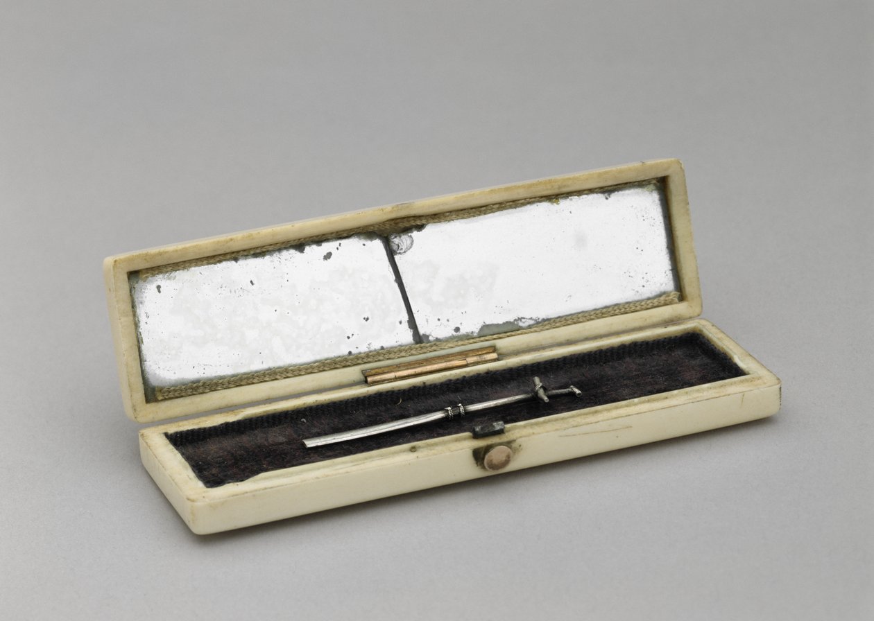 حالة المسواك ، c. 1840-1880 (عاجي ، فضي ، زجاج عاكس ، مخمل) بواسطة فنان غير معروف