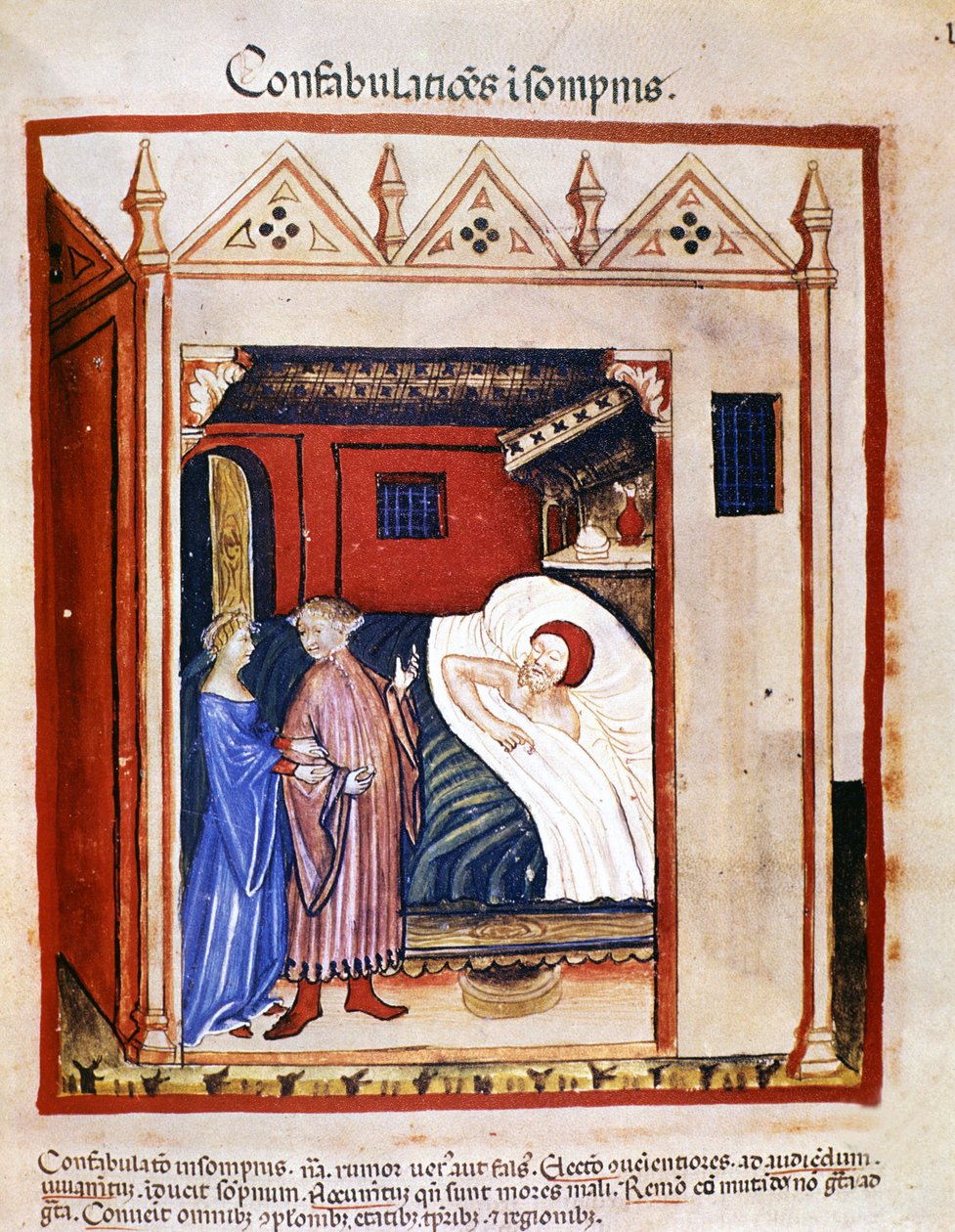 رسالة في الطب "" Tacuinum sanitatis "" القرن الرابع عشر: الناس يتحدثون أثناء نومهم. القرن الرابع عشر. BN ، فيينا. بواسطة فنان غير معروف