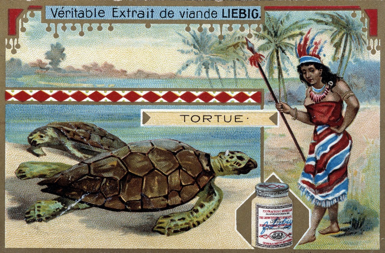 سلحفاة ، مع امرأة ترتدي زي مواطن من أمريكا الجنوبية ، ومجهزة برمح صيد - Liebig chromolithography بواسطة فنان غير معروف