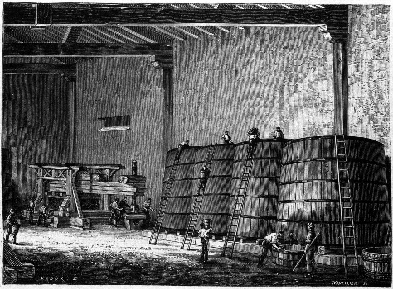 الأواني والضغط المستخدمة في أقبية النبيذ في Burgundy Clos Vougeot Engraving في القرن التاسع عشر بواسطة فنان غير معروف