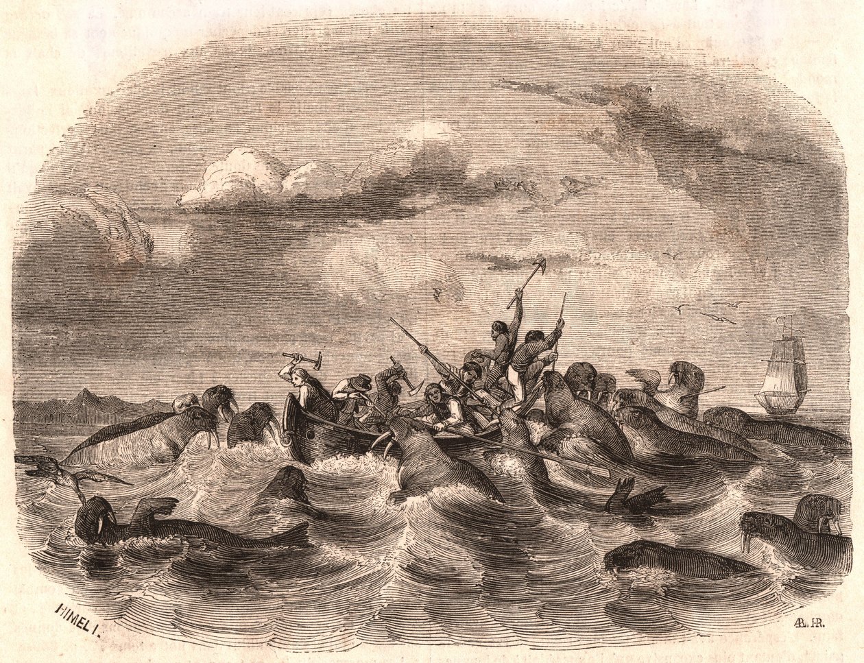 منظر لمجموعة من البحارة الإنجليز يطاردون قطيع من الفظ عام 1818 قبالة ساحل سبيتسبيرجين بواسطة غير معروف
