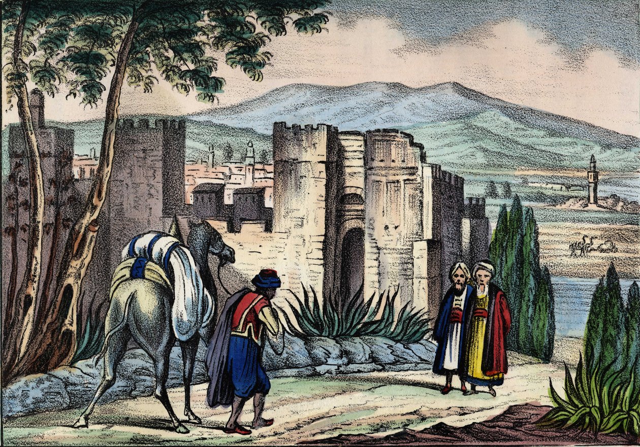 منظر لمدينة تلمسن (أو تلمسن) في الجزائر. في "" Storia d'Algeri "، بقلم ليون جاليبيرت ، المجلد. 2 بواسطة فنان غير معروف