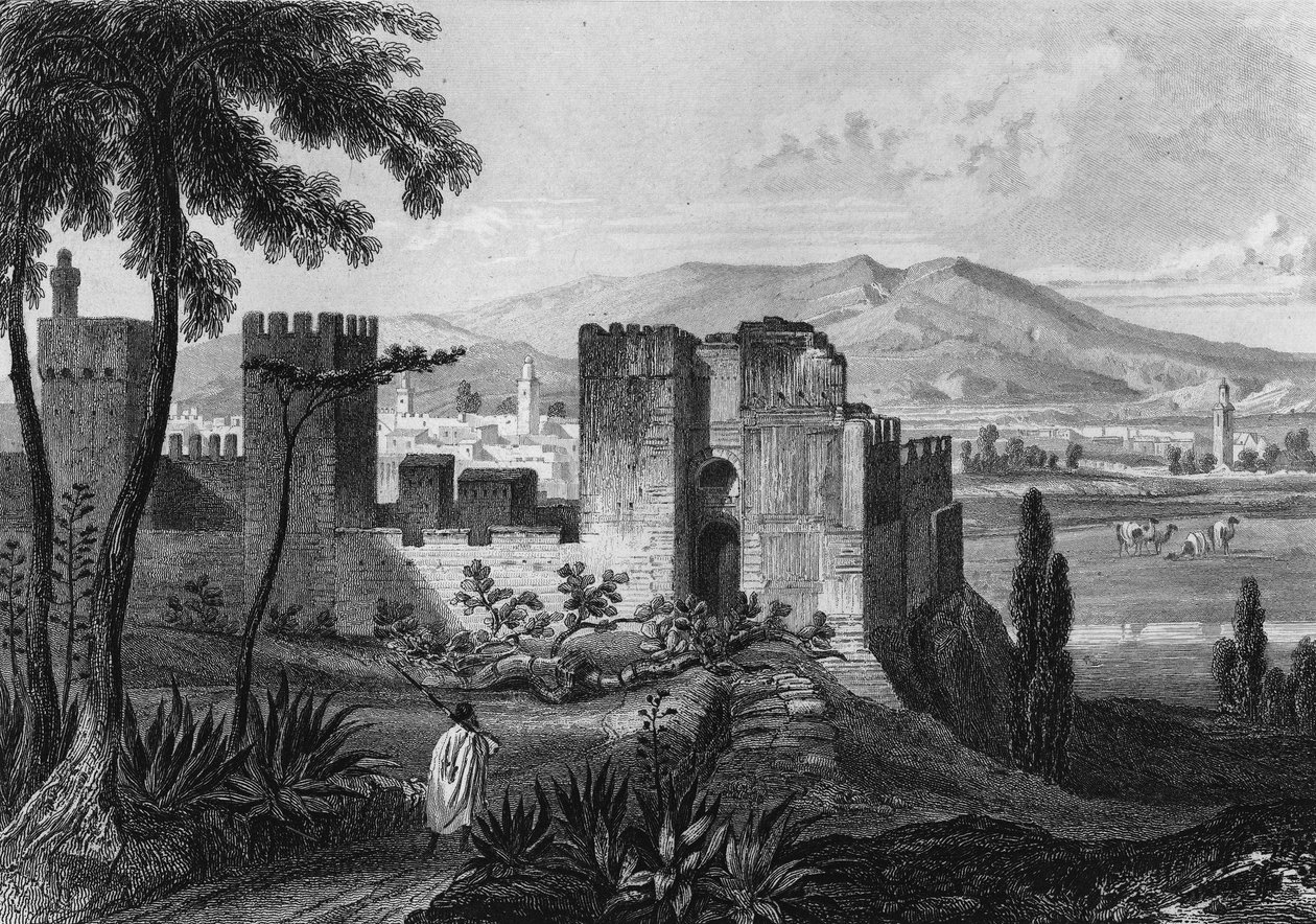منظر لمحاذاة مدينة تلمسن (أو تيلمسن) في الجزائر في القرن التاسع عشر ، في "" الجزائر القديمة والحديثة "بقلم ليون غاليبرت بواسطة فنان غير معروف
