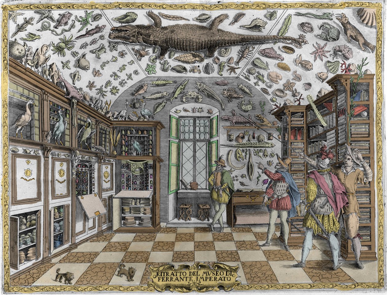 منظر لمتحف الفضول (المتحف الموسوعي) للصيدلاني Ferrante Imperato (1550 - 1631). نقش من عام 1678. متحف الصيدلة النابولية Ferrante Imperato. بواسطة فنان غير معروف