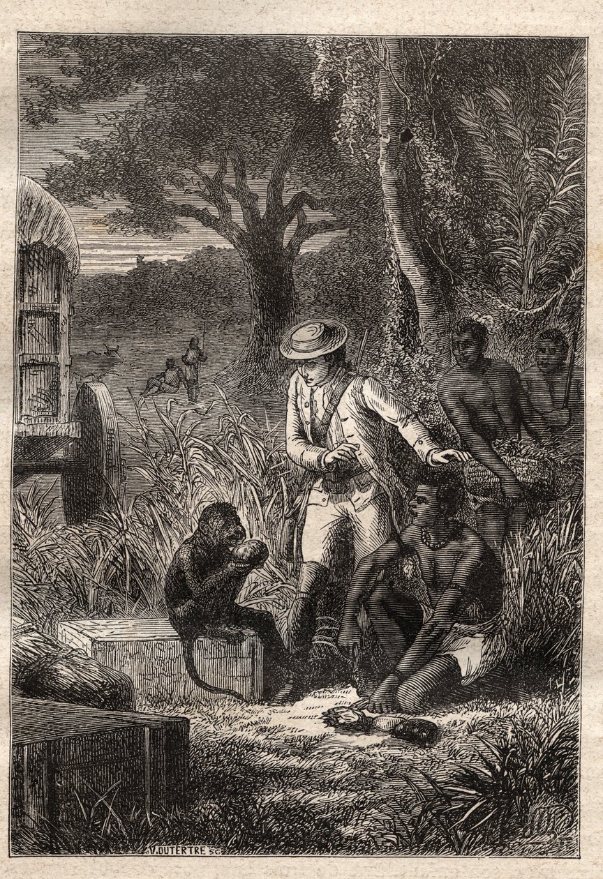 رحلة دانس لا كافريري (جنوب إفريقيا) (1781) بقلم فرانسوا ليفايان (لو فيلان) (1753-1824): ليفايان وقرده ديغوستاتور مايتري كيس ، الذي يتذوق الفاكهة والجذور من أجل التحقق من أنها صالحة للأكل - رسم توضيحي مأخوذ من "" ليه جرا بواسطة فنان غير معروف