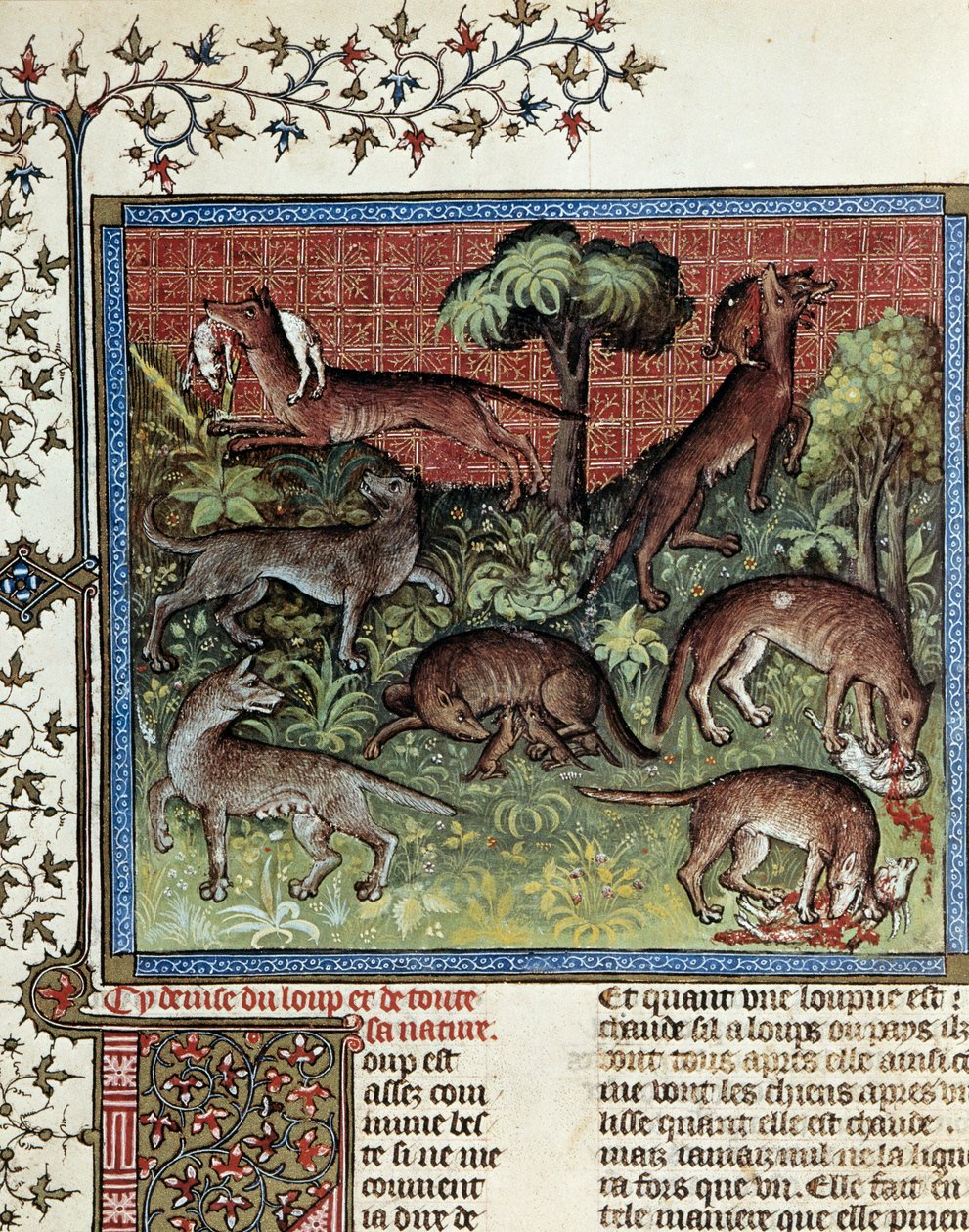 شعارنا الذئب وكل طبيعته. صورة مصغرة من Gaston Phoebus (1331-1391) dit Gaston III Comte De Foix بواسطة فنان غير معروف