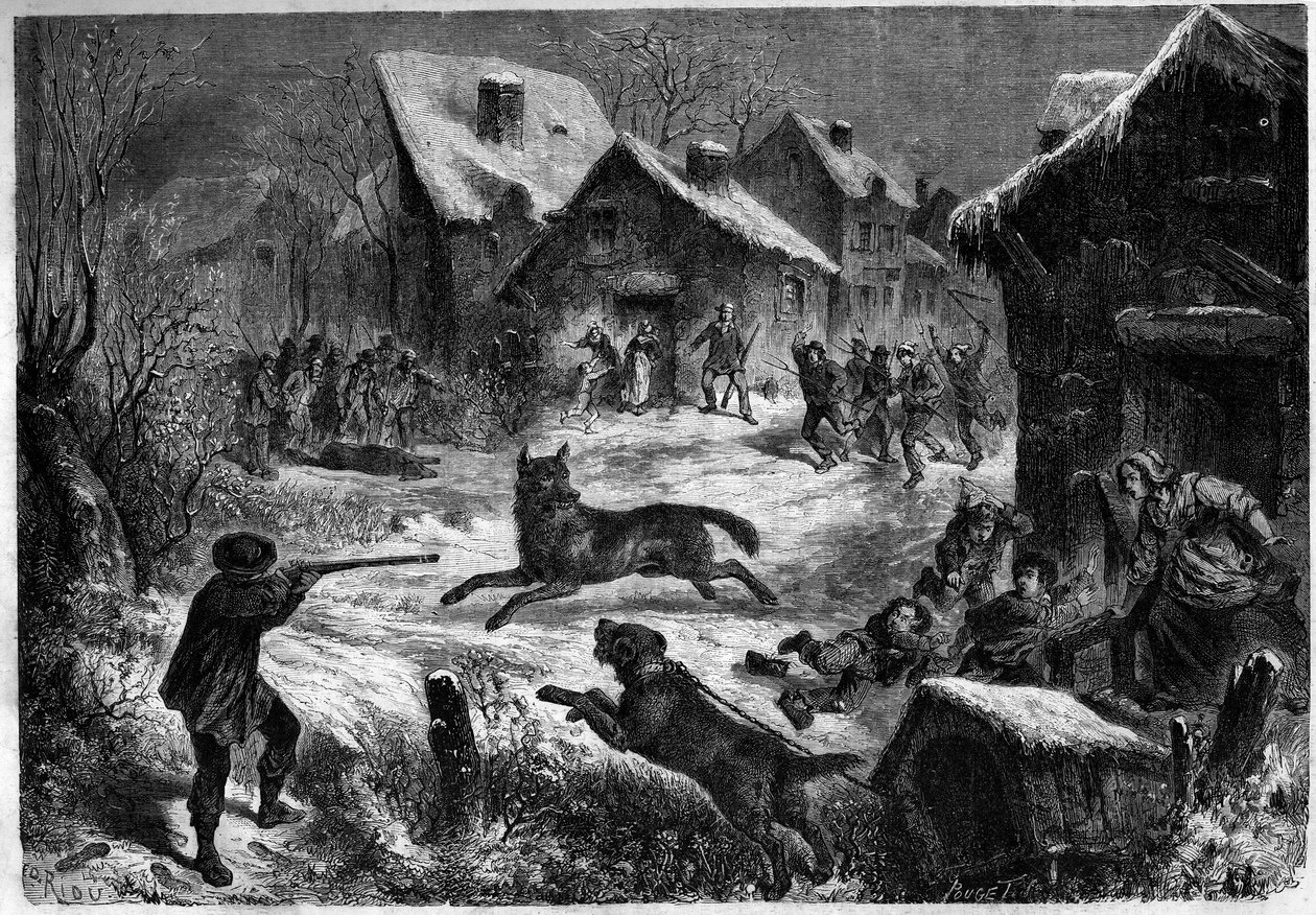 صيد الذئب في قرية سالييرز ، بوش دو رون (13) ، 31 ديسمبر 1860. نقش في "" Le Monde Illustré "" رقم 196 بتاريخ 12 يناير 1861. بواسطة فنان غير معروف