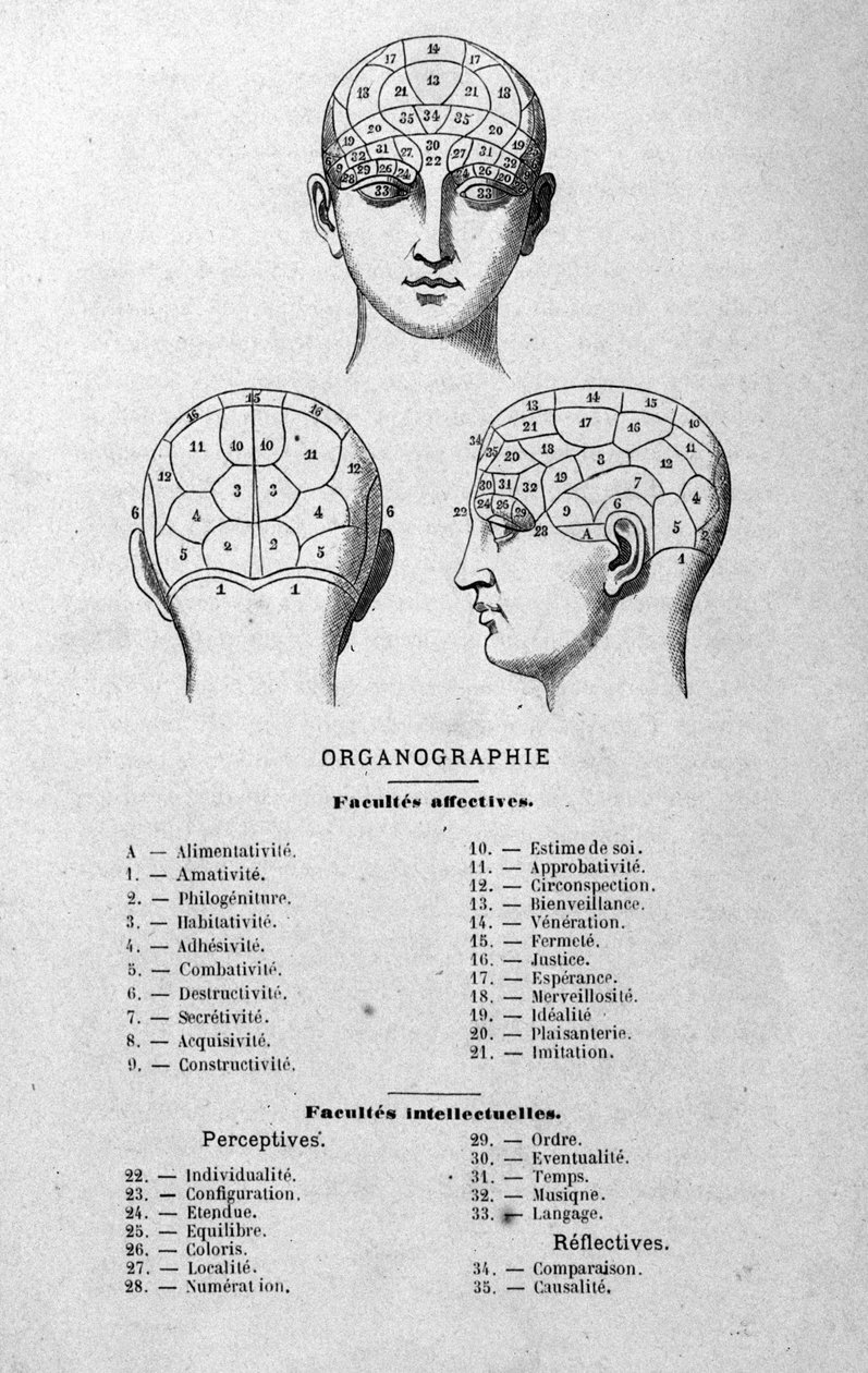 رسم توضيحي من كتاب تشارلز روفين لعام 1873 Organographie La Tête humaine ، دراسات مصورة لعلم فراسة الدماغ وعلم وظائف الأعضاء المطبقة على الشخصيات الشهيرة باريس 1873 بواسطة فنان غير معروف