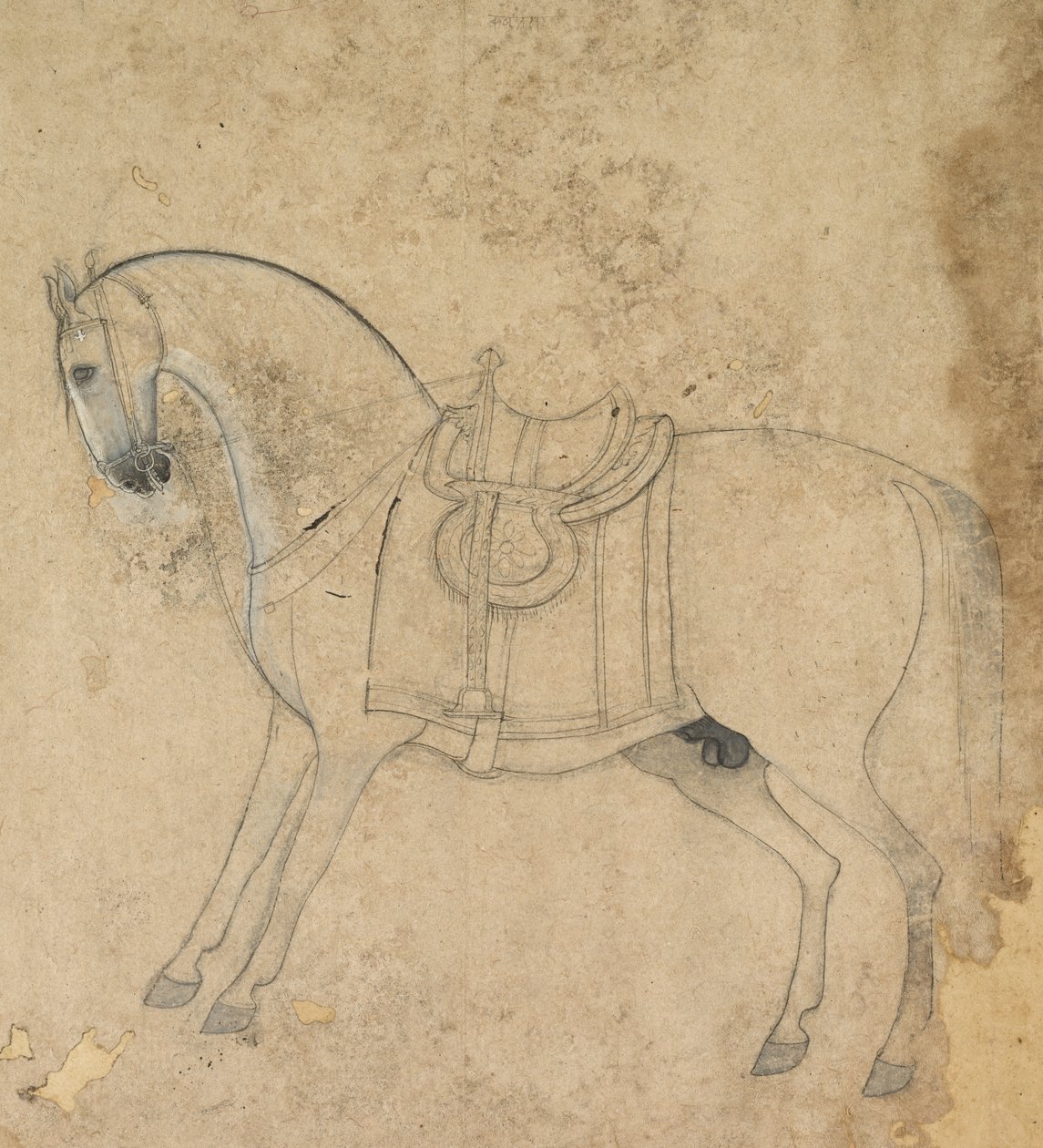 حصان سرج بواسطة فنان غير معروف