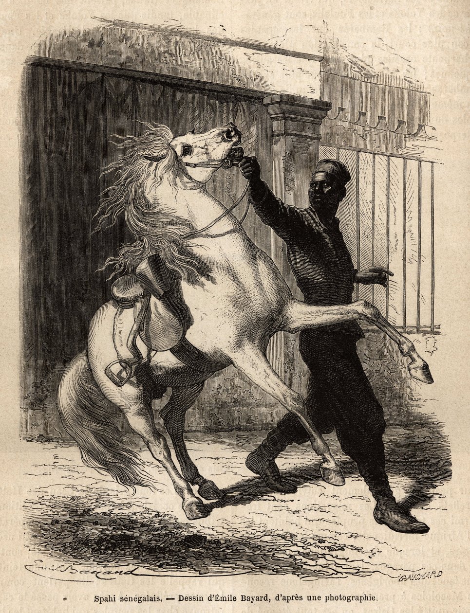 سباهي سنغالي (فارس) في سانت لويس (سانت لويس). نقش لتوضيح رحلة بحرية على ساحل إفريقيا ، قام به نائب الأدميرال فلوريو دي لانجل ، في عام 1868 ، نُشر في "" Le Tour du monde "" "1872 ، تحرير إدوارد شارتون ، طبعة Hachette ، باريس. بواسطة فنان غير معروف