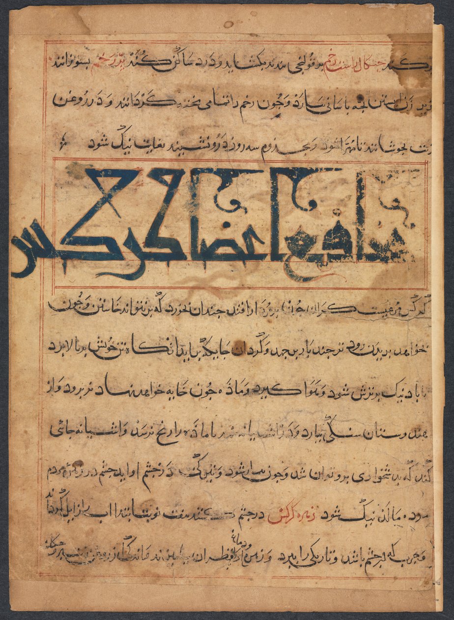 (من منافع الحيوان لأبي سعيد عبيد علاي بن بختيشو). بواسطة فنان غير معروف