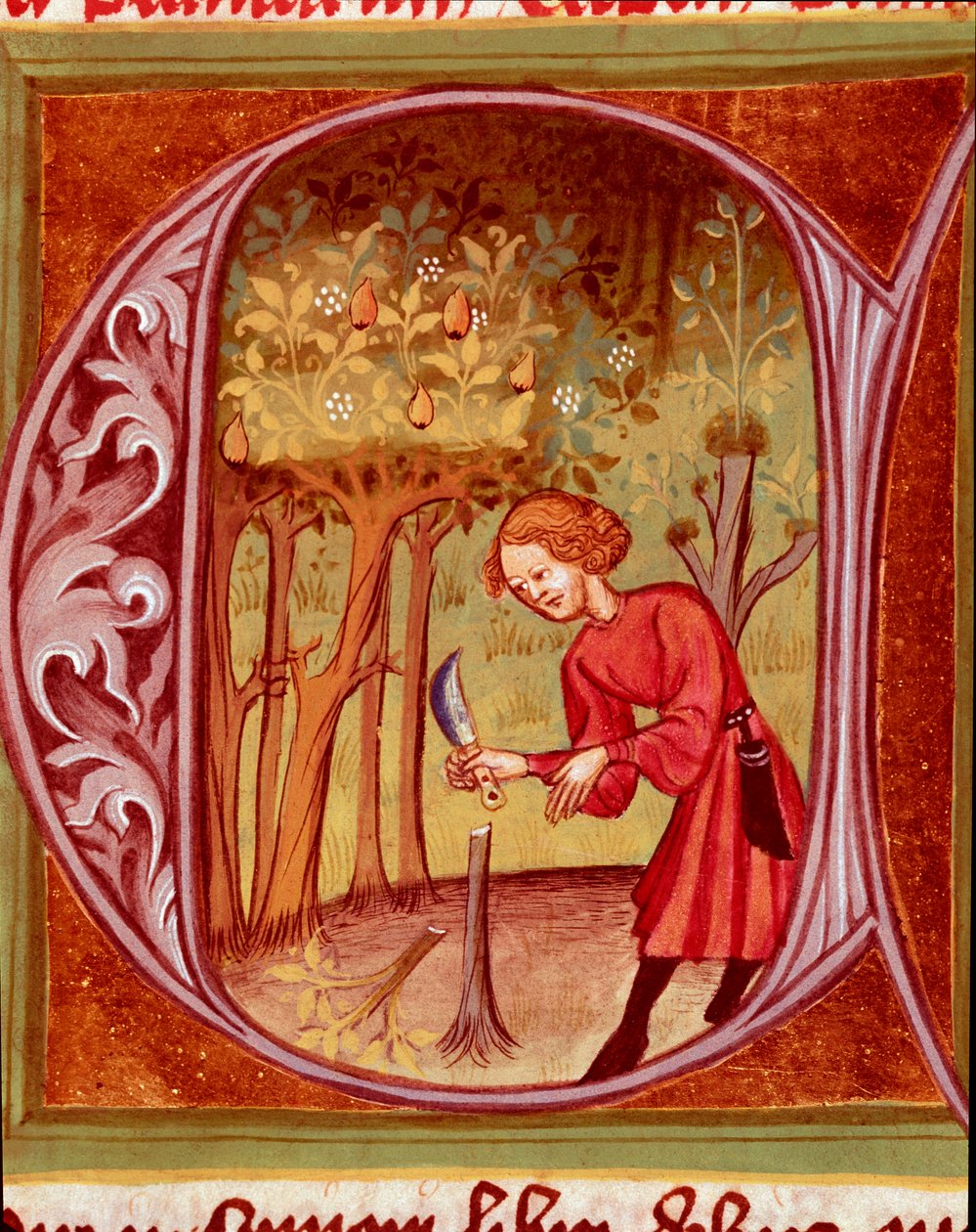 نباتي: بستاني يمارس الزرع. صورة مصغرة مأخوذة من "كتاب روستيكان أو كتاب الربح الريفي والريفي" (Rerum الريفية السلع) من قبل Pietro de Crescenzi (حجر الهلال أو Crescens Stone) (1233-1320) القرن الرابع عشر ، المكتبة الوطنية ، براغ بواسطة فنان غير معروف