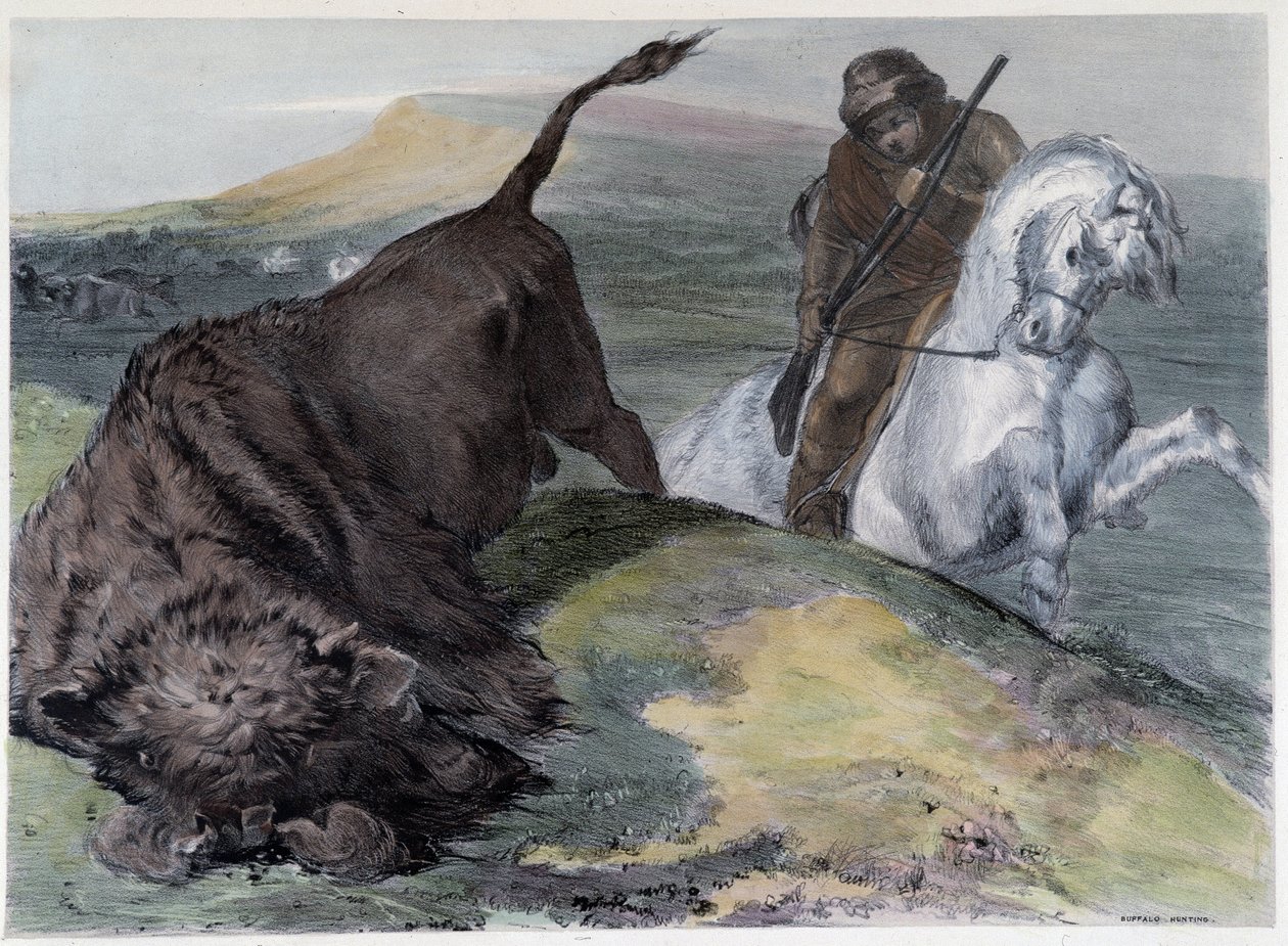 Canadian Huron Buffalo Hunt - in “” Shyth