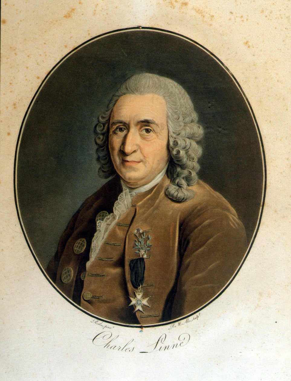 كارل فون ليني عالم الطبيعة والكاتب السويدي (1707-1778) بواسطة فنان غير معروف