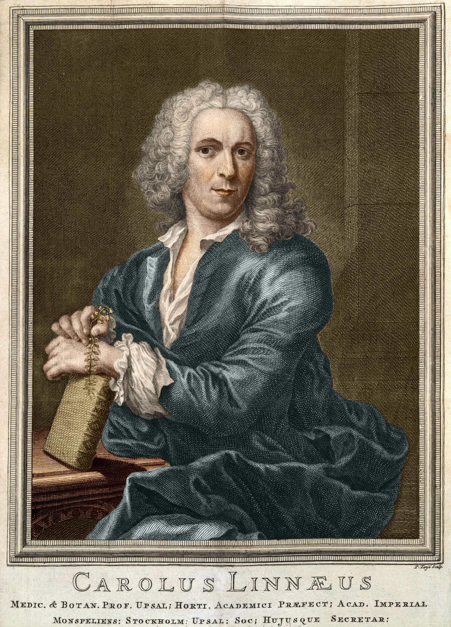 كارل فون ليني عالم الطبيعة والكاتب السويدي (1707-1778) بواسطة فنان غير معروف
