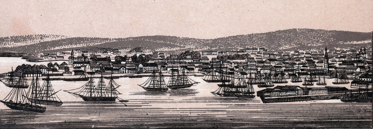 كريستيانيا ، الدنمارك: منظر للمدينة (منظر عام). في "" العالم يوضح 168 مشاهدة "" غير مؤرخ (نهاية القرن التاسع عشر) بواسطة فنان غير معروف