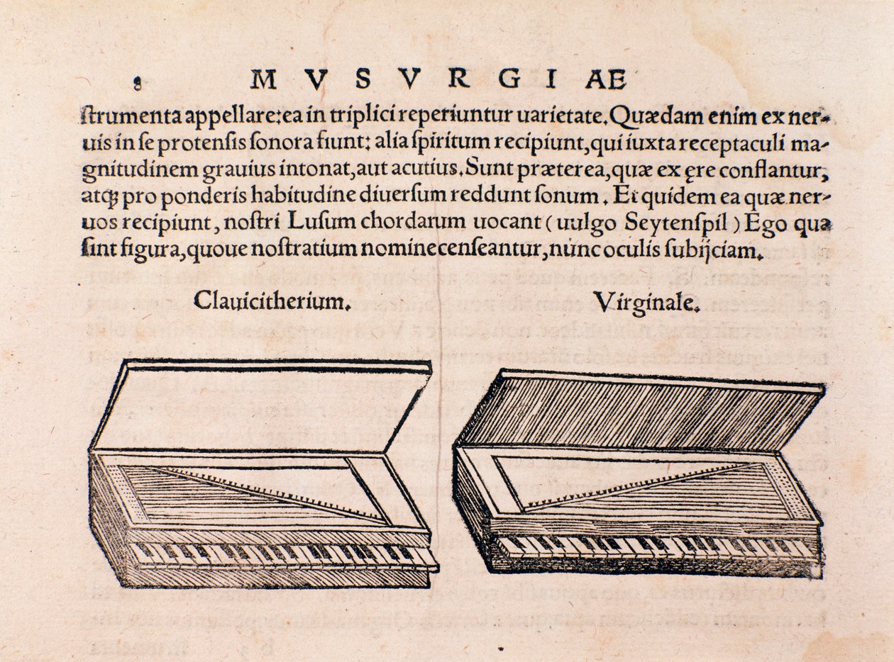 وصف Harpsichord و spinet. صفحة من Musurgia seu praxis musicae بواسطة فنان غير معروف