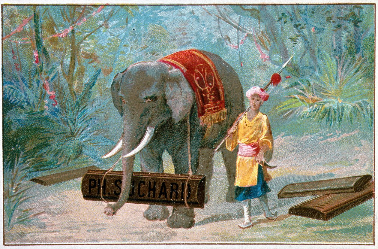 Elephant and Cornac ، إعلان عن "Suchard" "، v. 1895 بواسطة فنان غير معروف