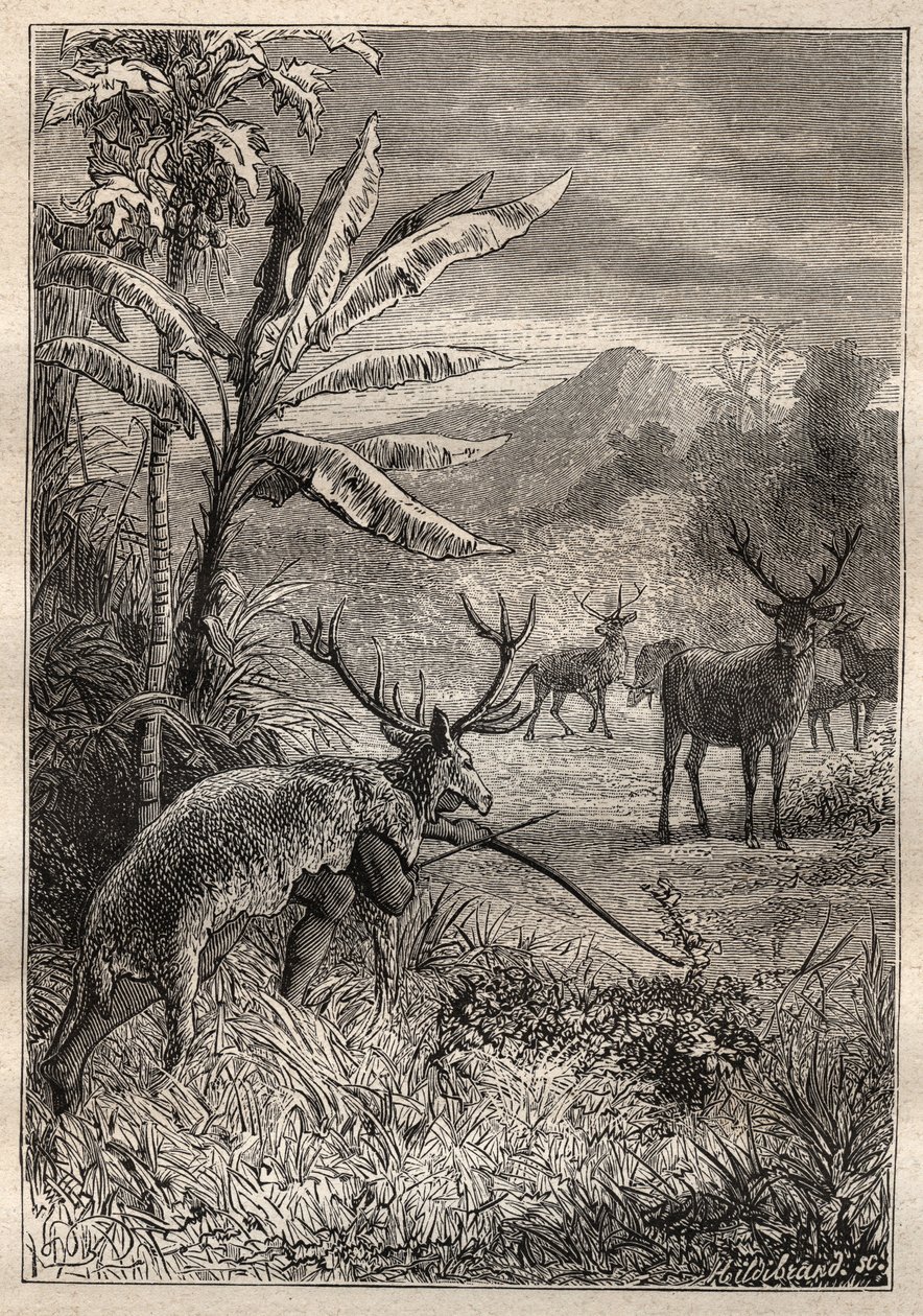 رحلة حول العالم (1785-1788) بقلم جان فرانسوا غالوب دي لا بيروس (1741-1788): أسلوب الصيد للهنود في خليج مونتيري (كاليفورنيا) - رسم توضيحي من "البحارة الكبار في القرن الثامن عشر" بواسطة فنان غير معروف