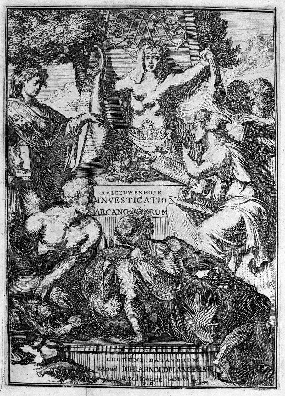 عنوان مزيف للعمل "Investigato Arcanorum" للتاجر والباحث الهولندي أنطوان فان ليوينهوك (أو ليوفينهوك ليوينهوك) (أو أنطوني أو أنتوني) (1632-1723) 1722. بواسطة فنان غير معروف