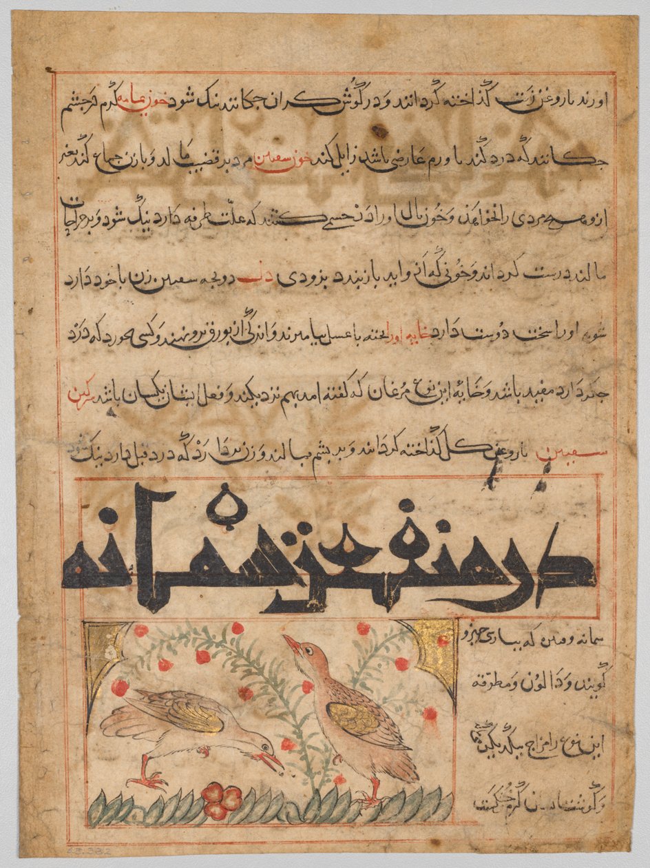 ورقة من منافع الحيوان الفارسية لأبي سعيد عبيد الله بن جبريل بن بختيشو (توفي 1058-1068) (الظهر) بواسطة فنان غير معروف