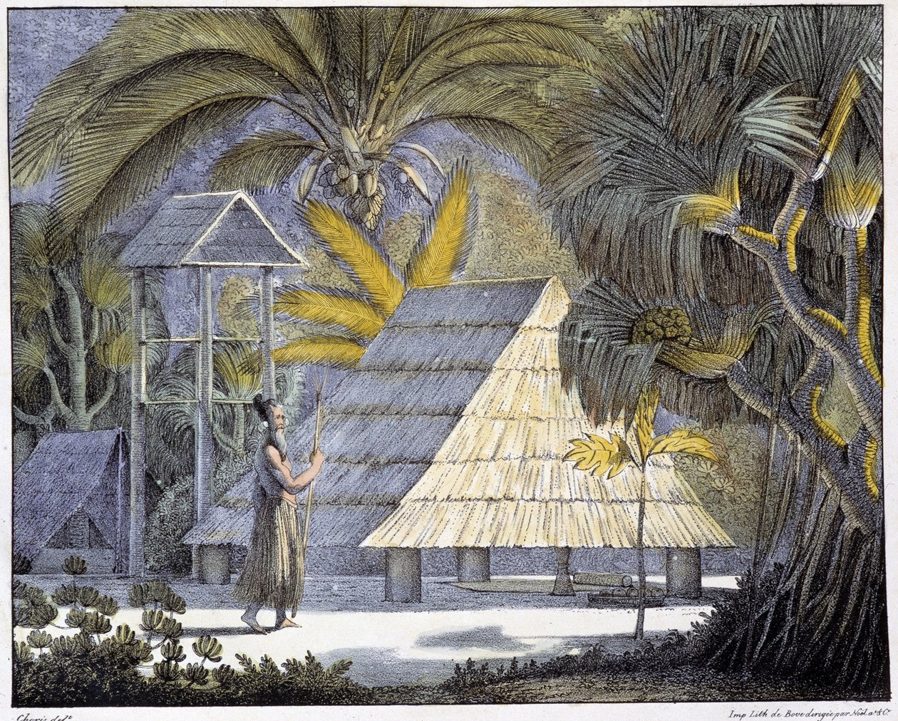 Habitat on the Radak Islands, Marshall Islands archipelago. 19th century engraving. بواسطة فنان غير معروف