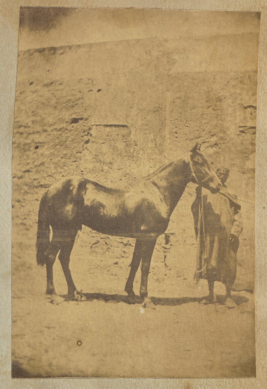  بواسطة فنان غير معروف