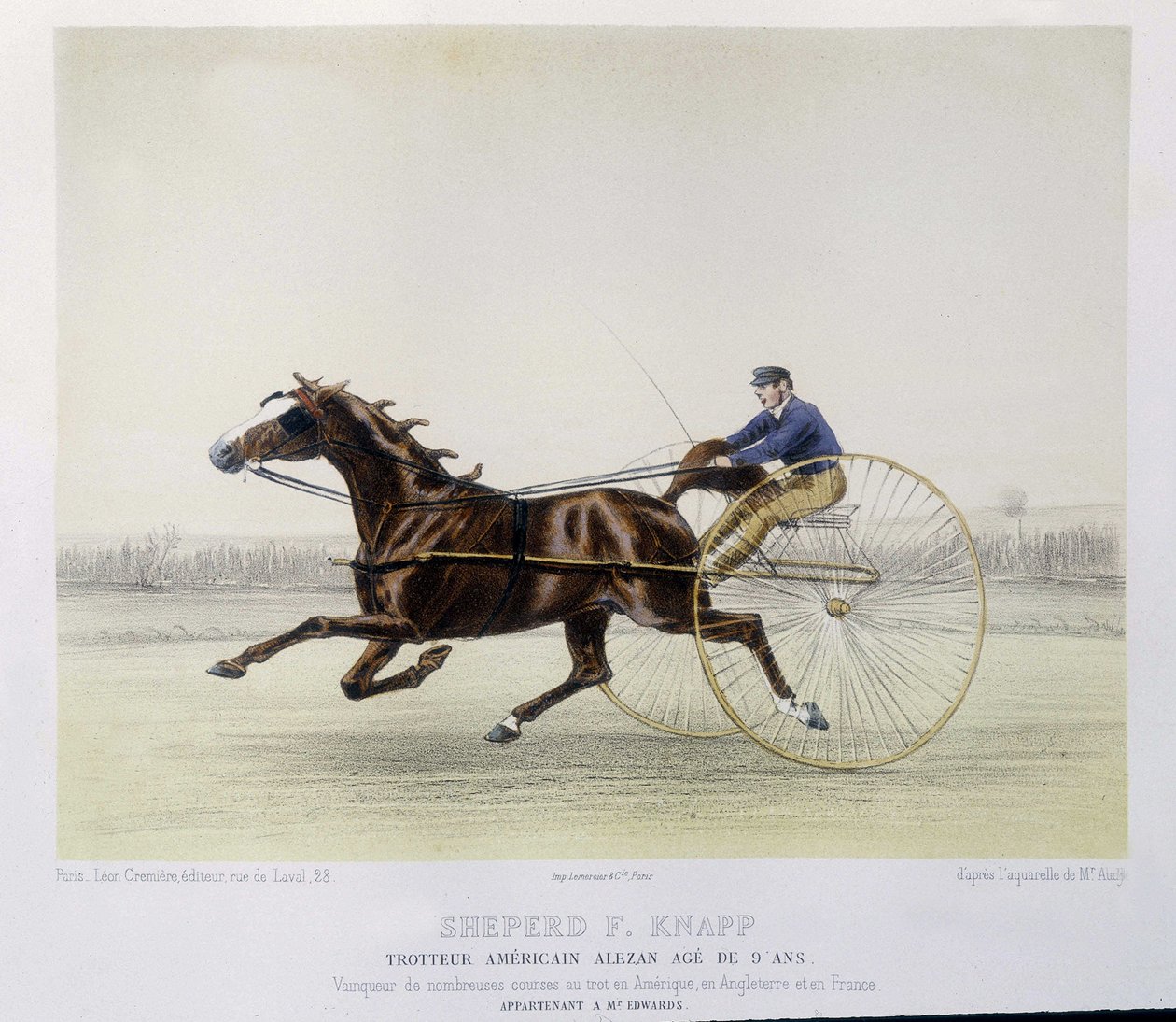 Horse riding: Shepherd F. Knapp, trotter - in “” the centaur”” بواسطة فنان غير معروف