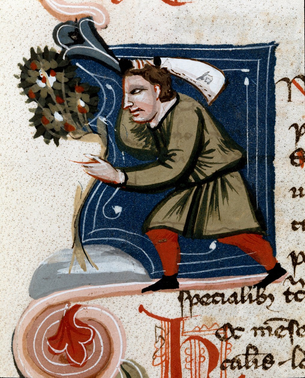 Horticulture: potting a tree. Detail. Manuscript page (MS.s.vi) “” Agrarian Treat”” (Trattato di agraria) by Pietro de Crescenzi (Crescent Stone or Crescens Stone) (1233-1320) 14th century Cesena, Biblioteca Malatestiana بواسطة فنان غير معروف