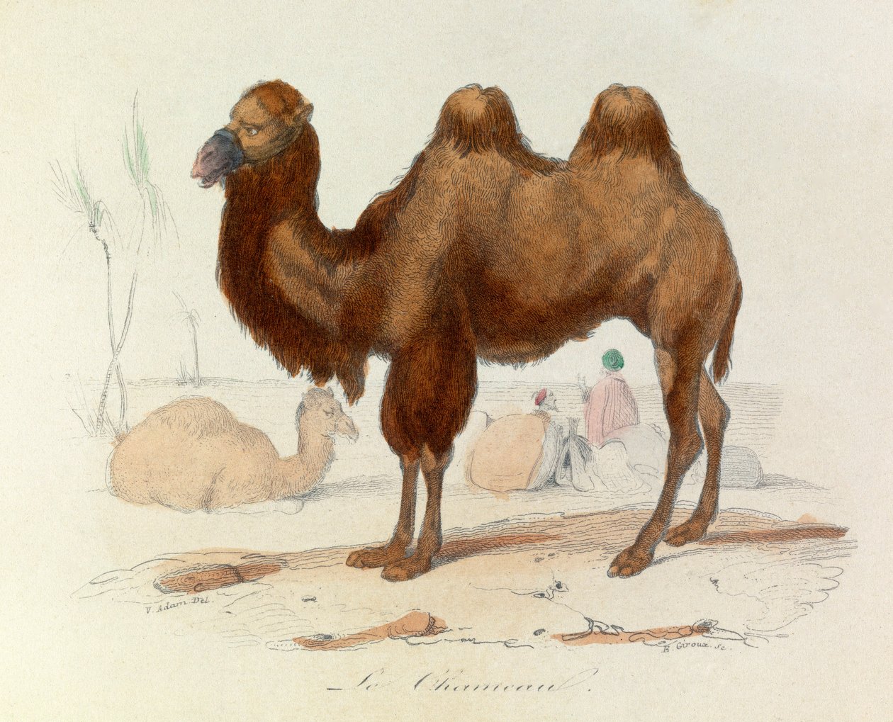  بواسطة فنان غير معروف