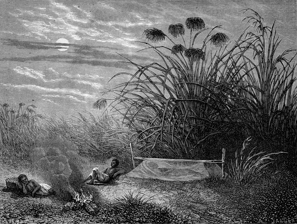 في Masoumbo: Livingstone Mosquito Net - "" رحلة ليفينجستون الأخيرة 1866-1873 "في" "Tour du Monde" ، الفصل الثاني. 1875 بواسطة فنان غير معروف