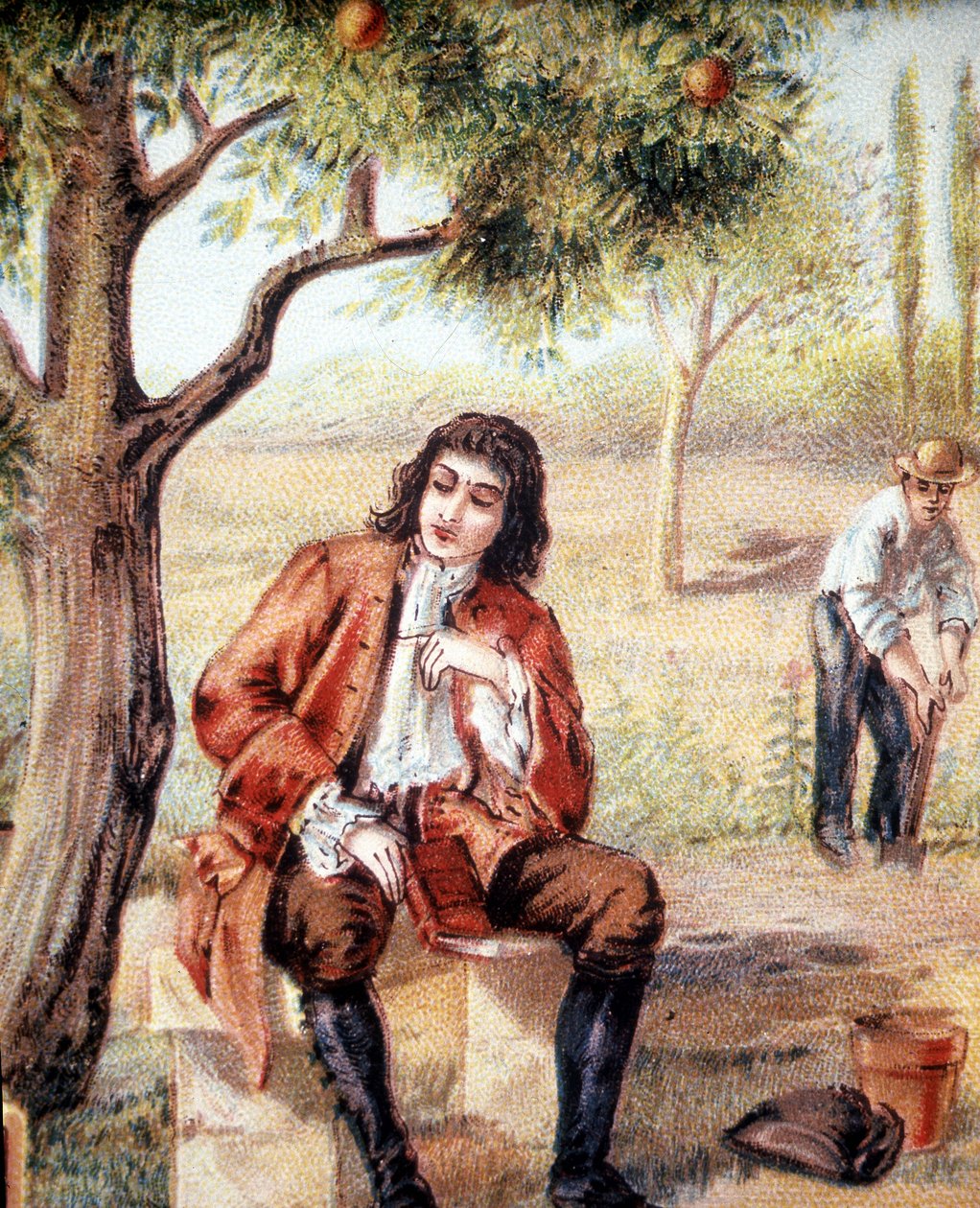 يجد إسحاق نيوتن (1642-1727) ، عالم الرياضيات والفيزياء والفلك الإنجليزي ، نظرية الجاذبية بملاحظة سقوط شجرة تفاح ، وهو رسم توضيحي للقرن التاسع عشر. بواسطة فنان غير معروف