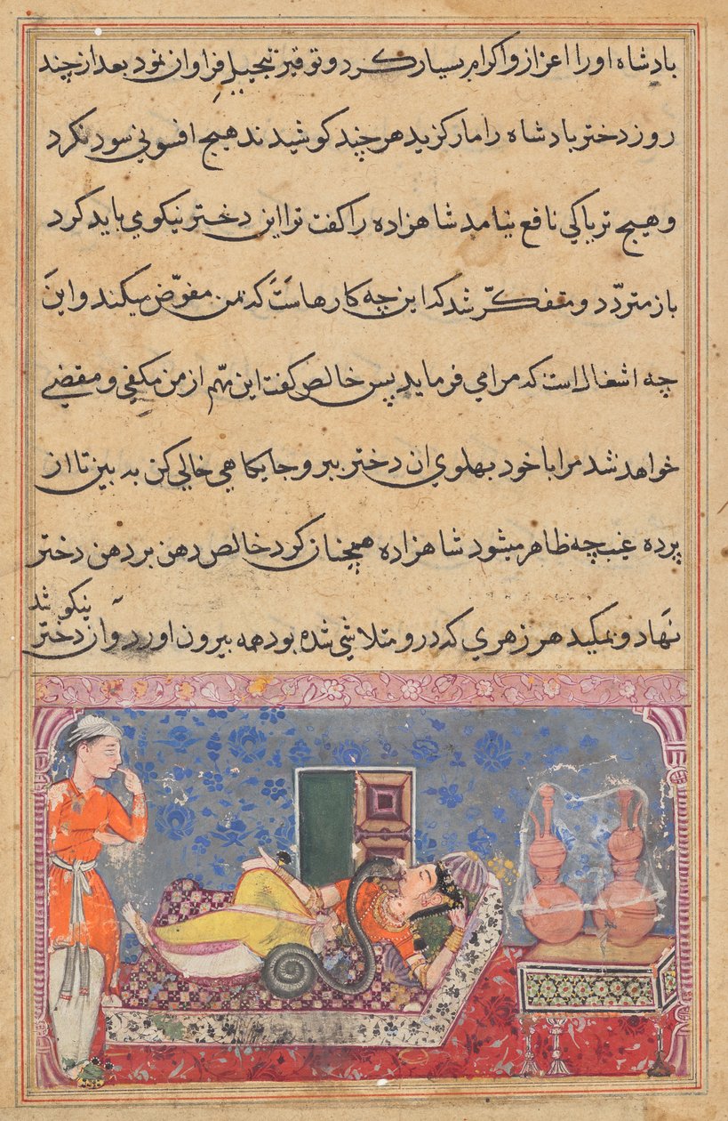 يكافئ خالص الأمير على لطفه بالتحول إلى ثعبان وامتصاص السم من ابنة الملك ، من توتي ناما (حكايات ببغاء): الليلة الثامنة عشرة بواسطة فنان غير معروف