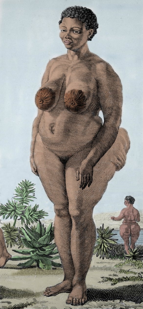 لا فينوس هوتنتوت ، امرأة من سلالة بوخيمان ؛ (The Hottentot Venus) نقش عام 1815. بواسطة فنان غير معروف