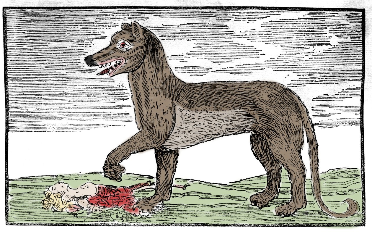نقش La bete du Gevaudan من "تأريخ القديس جيمس" بواسطة فنان غير معروف